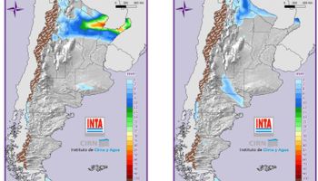 Lluvias y tormentas de variada intensidad sobre el NEA