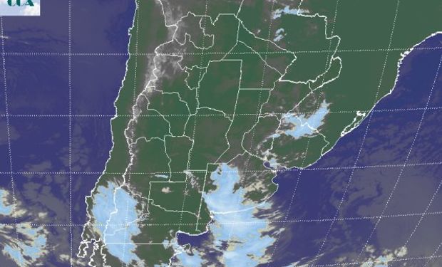 Coberturas de mayor desarrollo y más homogéneas se ubican sobre el oeste bonaerense.