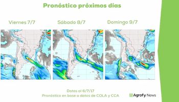 Chaparrones y tormentas en contra de la siembra triguera