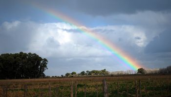 El clima en lo que resta de abril: la mejor oferta de agua se concentra en 4 zonas