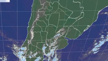 Heladas rigurosas en el sudeste de Buenos Aires