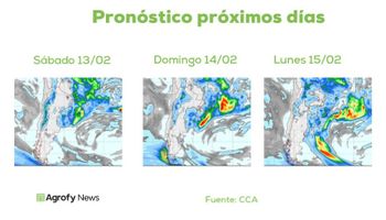Se mantiene la alta inestabilidad: qué dice el pronóstico del tiempo para los próximos días (y semanas)