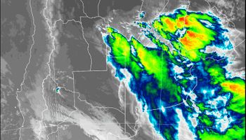 Lluvias llegan al centro de la región pampeana en un momento crítico