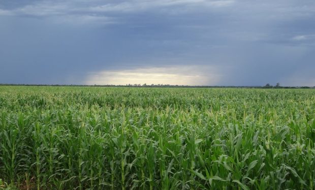 Pronóstico de lluvias: anticipan un potencial frente para mediados de la semana próxima