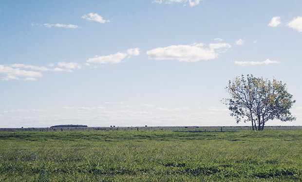 Pronóstico del tiempo: el viento norte irá imponiendo en forma paulatina un incremento en las temperaturas