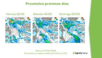 ¿Más fundamentos bajistas para la soja?