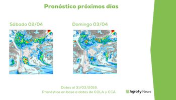 Precipitaciones podrían interrumpir la cosecha: ¿factor alcista?