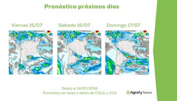 Clima: el rey de los precios