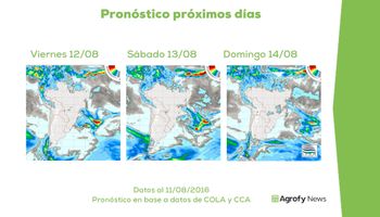 Clima favorable, fin de la cosecha de soja… ¿y los precios?