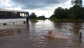 Pronóstico mantiene en alerta a las zonas afectadas