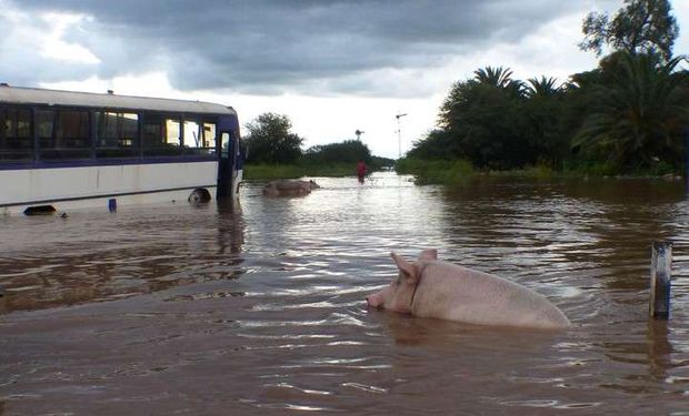 El pronóstico de lluvia mantiene en estado de alerta a las zonas afectadas por las inundaciones.