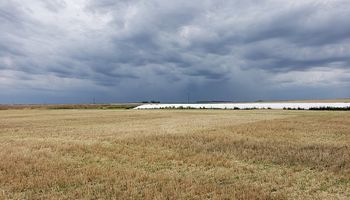 "Buen tiempo": destacan el auxilio detrás de las lluvias y anticipan un potencial nuevo frente