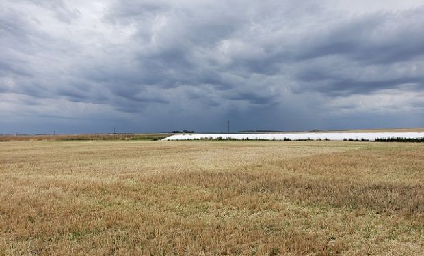 "Buen tiempo": destacan el auxilio detrás de las lluvias y anticipan un potencial nuevo frente