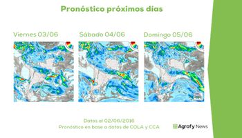Semana estable, fría y seca: perfecta para la siembra y cosecha