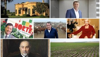 La larga lista de reconocidos empresarios que suman hectáreas en Argentina: por qué todos tienen campo