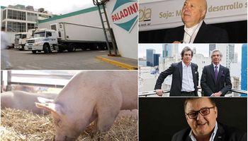Cerdo: los 13 nombres detrás de las principales granjas porcinas de la Argentina