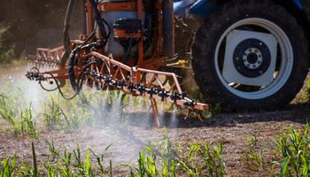 O que está por trás da proposta do governo para banir agrotóxicos “ultraperigosos”