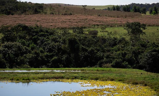 Cadastro Ambiental Rural é um instrumento do Código Florestal (Lei 12.651/2012) obrigatório para todos os imóveis rurais