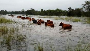 Renovación automática de la emergencia agropecuaria