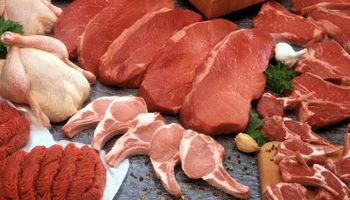 Após recorde em 2024, Conab projeta produção de carnes estável em 2025