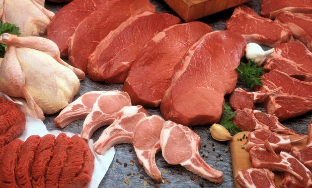 Após recorde em 2024, Conab projeta produção de carnes estável em 2025