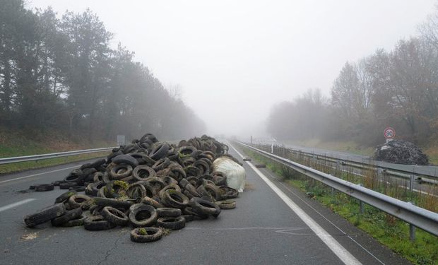 Os manifestantes querem interromper o abastecimento alimentar da cidade “durante pelo menos 5 dias, o que deixará claro aos parisienses que precisam de agricultores”. (foto - redes sociais)