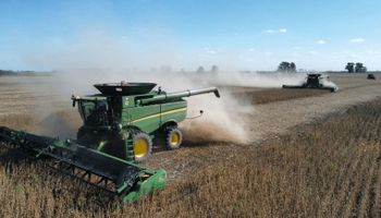 Zona por zona, ¿qué rindes se esperan para la soja y el maíz?