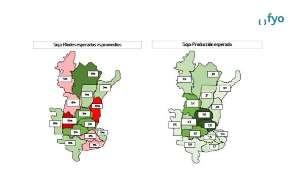 Proyecciones campaña gruesa fyo