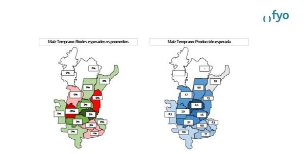 Proyecciones campaña gruesa fyo