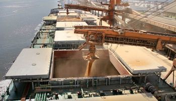 Oficializan el control de los saldos exportables para trigo y maíz: cómo funciona