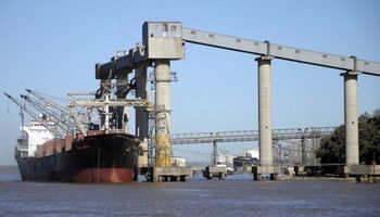 El sector agropecuario podrá solicitar la apertura de mercados de forma online