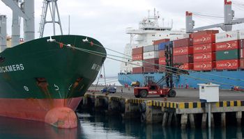 La Argentina y Brasil sumarán en 2020 el 41% de las exportaciones mundiales de granos