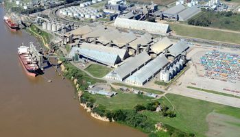 Trigo: 62% del volumen exportado es forrajero