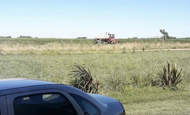 Pehuajó: una cautelar suspendió las pulverizaciones a 300 metros de la ciudad