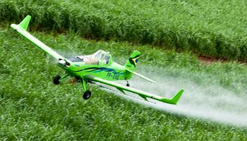 STF mantém proibição sobre pulverização aérea de agrotóxicos