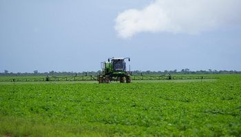 Prevén una caída del área sembrada