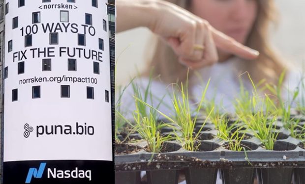 La startup tucumana de agro que llegó a la icónica esquina del Nasdaq por el potencial para salvar mil millones de vidas