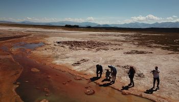 Corteva invierte en una start up argentina que crea insumos agrícolas con microorganismos del desierto más alto y seco de la Tierra, La Puna de Argentina
