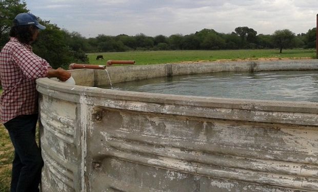 Cómo purificar el agua: Consigue agua potable, limpia y segura 