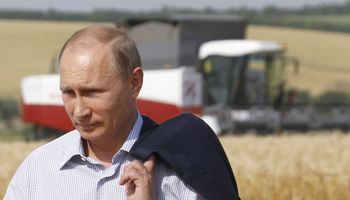 Rusia elimina retenciones al trigo por primera vez desde 2021