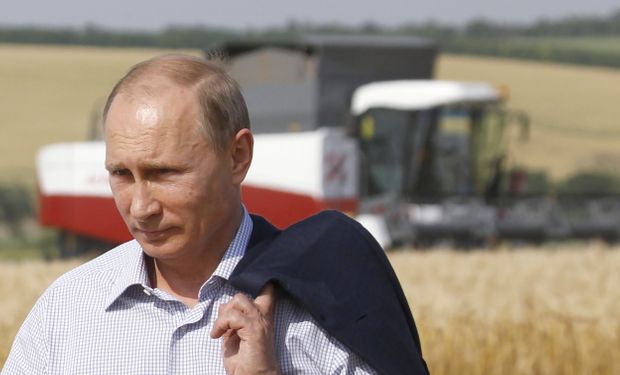 Rusia elimina retenciones al trigo por primera vez desde 2021