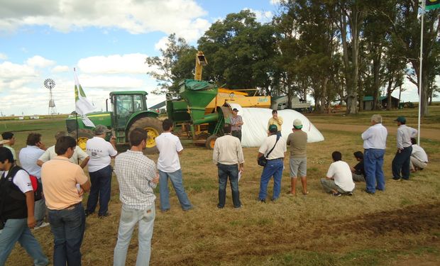 Excluyen a Pymes agropecuarias de acceso a créditos