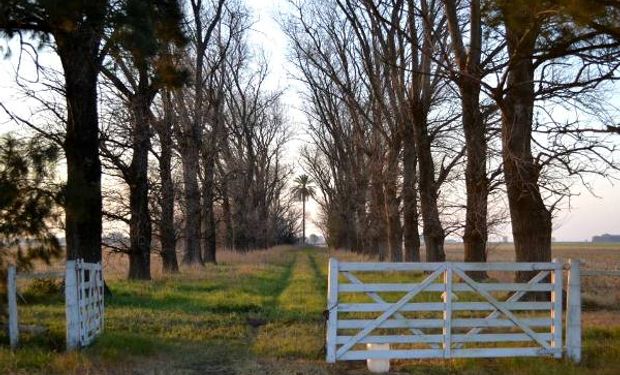 Por qué cayó hasta un 20% la actividad del mercado inmobiliario rural