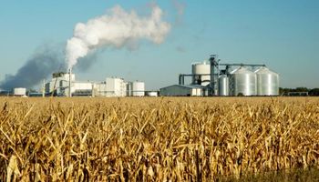 El precio del bioetanol de caña de azúcar y de maíz aumentó un 4,4 %