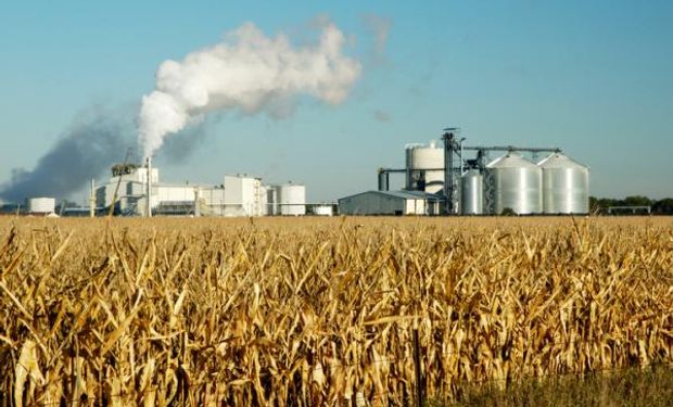 El precio del bioetanol de caña de azúcar y de maíz aumentó un 4,4 %