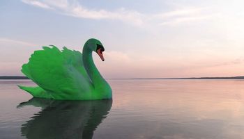 Qué es el cisne verde que podría desatar la próxima gran crisis de la economía mundial