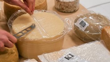 De la tierra de Diego y Lionel: cuatro queserías argentinas fueron premiadas en el mundial de quesos