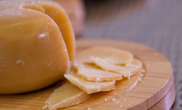 Minas Gerais, terra do famoso queijo Canastra, faturou 12 das 15 premiações. (foto - CNA)