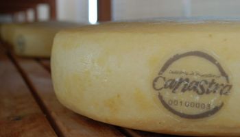 Taste Atlas elege Queijo Canastra como o melhor do mundo 