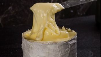 Queijo brasileiro Morro Azul é eleito um dos melhores do mundo em 2026